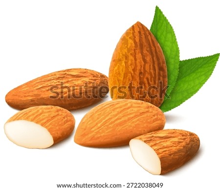 Almond nut composition, different statements. Whole and cracked nuts, hulled and raw kernels and green leaves. Good for labels and stickers, packaging design. Realistic 3d Vector illustration