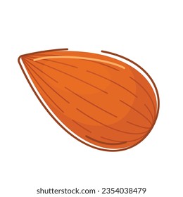 almond nut flat vector illustration clipart isolated on white background