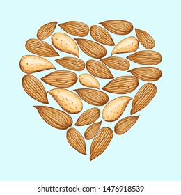Almond nut heart shape from a colored brown seeds with and without nut shell. Vector hand drawn illustration. Isolated.