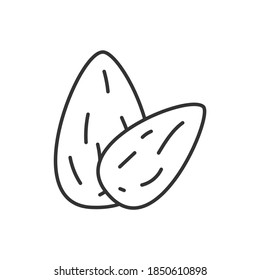almond nut icon vector illustration