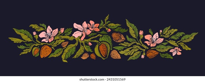 Mandelnuss, Kern mit grünen Blättern, Blume und rohe Schale. Helle Vektor-Natur Illustration. Bio-Lebensmittelzutat, Proteinsnack