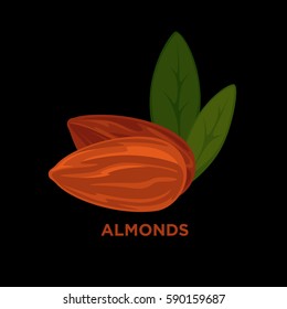 nuez de almendra con hojas vectorial ilustración de dibujos animados. Aislado