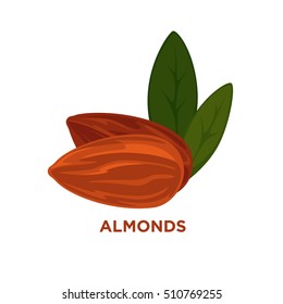 Almond nut with leaves. Vector illustration of brown nuts kernels or seed - organic, healthy and natural food. Vegetarian snack with protein. Cartoon design element isolated on white background.