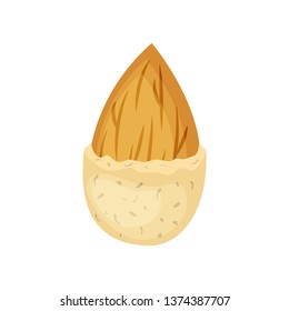 Almond nut in a nutshell vector illustration isolated on white background.
