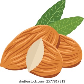  almond nut on white background, Whole Almond and almond pieces, leaves. 