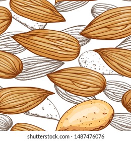 Almond nut pattern on a transparent background. Ornament made from nut with and without nutshell. Hand drawn colored vector illustration.