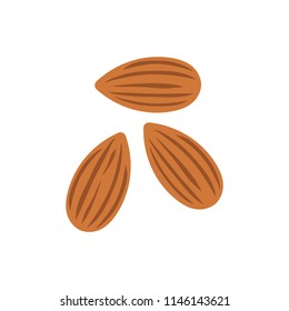 Almond nut vector 