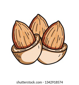 Almond Nut  Vector