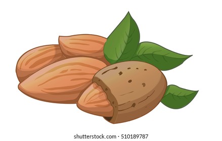 almond nut, vector cartoon illustration. beautiful nuts, fresh nuts, hazelnuts, a handful of nuts, nut-in-shell almonds in the shell, shelled almonds, fresh almonds