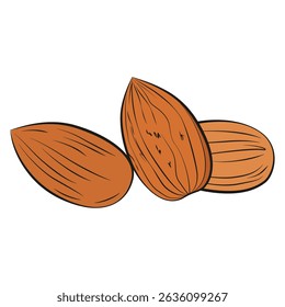 Almond nut vector illustration isolated on white background. Almonds icon in cartoon flat style. Tasty crunchy nuts. Healthy breakfast, meal, snack and desserts.