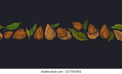 Almond nuts border. Vector seamless strip of shell, green leaves. Vintage color pattern on black background. Protein eat, organic vegan milk