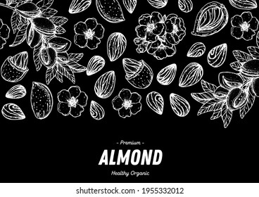 Almond nuts hand drawn sketch. Nuts vector illustration. Organic healthy food. Great for packaging design. Engraved style. Black and white color.