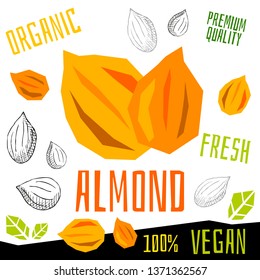 Almond nuts icon herb label fresh organic condiment, nuts herbs spice condiment color graphic design vegan food. Hand drawn vector illustrations.