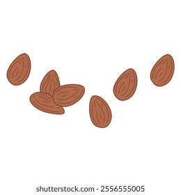 Almond Nuts Illustration healthy food illustration