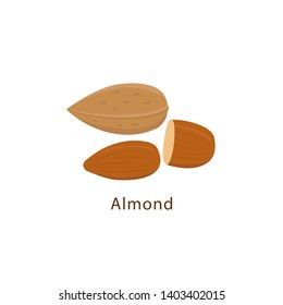 Almond nuts isolated on white background vector illustration in flat design.