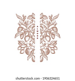 Ornamento de almendras. Marco gráfico vintage. Símbolo floral victoriano. Planta de naturaleza vectorial, hojas de esbozo sobre fondo blanco. Emblema elegante de filigrana de arte, patrón dibujado a mano orgánico