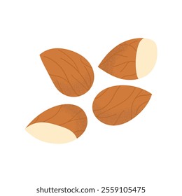 Almond nuts. Tasty snack, raw almonds in shell, crunchy nuts. Healthy food. Products for snack. Vector illustration, flat style, isolated on white background.