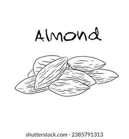 almond nuts vector design illustration suitable for food, symbol, background, chocolate, vitamin, health 