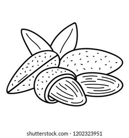 Almond Nuts. Vector flat outline icon illustration isolated on white background.