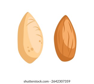Ilustración vectorial de nueces de almendra aislada sobre fondo blanco. Almendra entera y trozos de almendra fruta con cáscara de almendra y hojas de Ilustración vectorial. Concepto de alimentación saludable