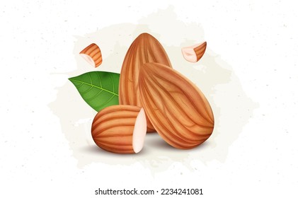 Almond nuts vector illustration with almond pieces 