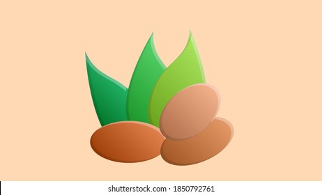 Almond nuts whole and half split with green leaves in the background. Vector illustration.