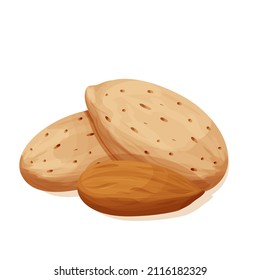 Almond in nutshell detailed raw nut, organic product, ingredient in cartoon style isolated on white background. Ripe plant, snack.