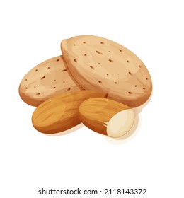 Almond in nutshell detailed raw nut, organic product, ingredient in cartoon style isolated on white background. Ripe plant, snack.