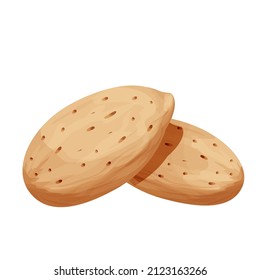 Almond in nutshell detailed raw nut, organic product, ingredient in cartoon style isolated on white background. Ripe plant, snack.