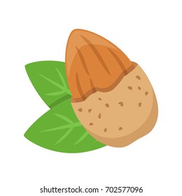 Almond in a nutshell with leaves isolated on white background, flat style vector illustration.