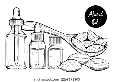 Almond oil hand drawing with medical drop bottle vector illustration