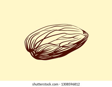 Almond on beige background
