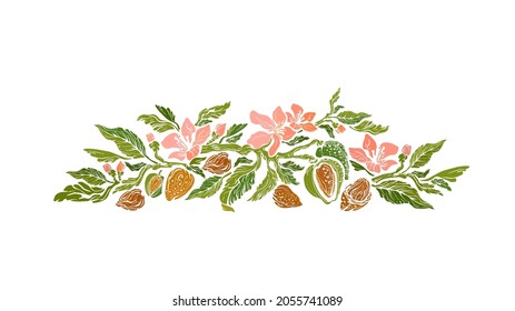 Almond paint tree. Vector band of nuts, flower in bloom, green leaves. Vintage floral illustration isolated on white background. Protein food, vegan milk