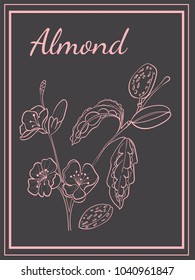Almond Postcard Poster Hand draw Branch Leaves Flowers Nut Pink on a Dark Background