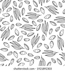Patrón sin fisuras de almendra. Nuez vectorial dibujada a mano. Nueces, núcleos, hojas. Para papeles pintados, papeles de envoltura, menú de restaurante, fondo de página web, textiles. Estilo dibujado a mano. Patrón de alimentos orgánicos sin soldadura. 