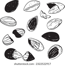 Almond seamless pattern almond nut hand drawn sketch particle