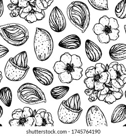 Patrón sin fisuras de almendra. Boceto dibujado a mano con almendras. Ilustración vectorial de nueces. Alimentos orgánicos saludables. Ideal para el diseño de envases. Estilo grabado. Color blanco y negro.