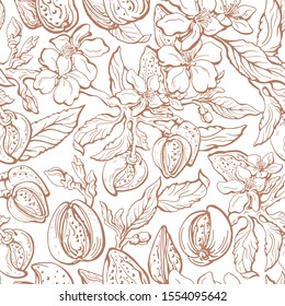 Almond seamless pattern. Vector real branch, nut, leaf, flower on white background. Vintage floral illustration. Art hand drawn sketch. Organic milk, vegan food