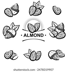 Almond set. Collection icon almond. Vector