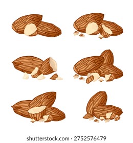 Almond set featuring whole nuts, halves, pieces, and flakes. Ideal for healthy food themes, baking, desserts, plantbased diets, packaging, recipes, and nutrition projects.