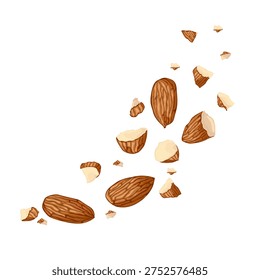 Almond set featuring whole nuts, halves, pieces, and flakes. Ideal for healthy food themes, baking, desserts, plantbased diets, packaging, recipes, and nutrition projects.