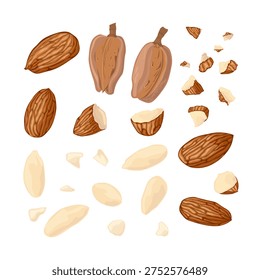 Almond set featuring whole nuts, halves, pieces, and flakes. Ideal for healthy food themes, baking, desserts, plantbased diets, packaging, recipes, and nutrition projects.