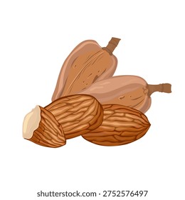 Almond set featuring whole nuts, halves, pieces.  Ideal for healthy food themes, baking, desserts, plantbased diets, packaging, recipes, and nutrition projects.