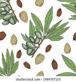 
Almond set nuts Patern seamless print textile food useful vitamins . Plants leaves nature natural products  print textile food healthy vitamins graphic illustration hand drawn vector 
