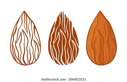 Almond silhouettes vector icon, nuts seed set, line and flat design isolated on white background. Food illustration