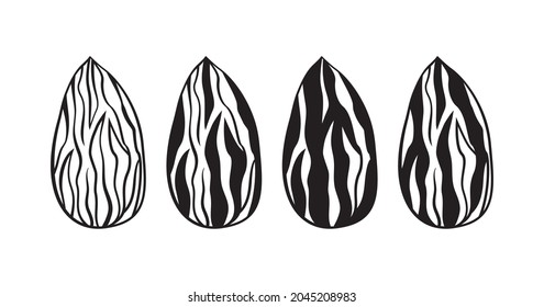 Almond silhouettes vector icon, nuts seed set isolated on white background. Food illustration