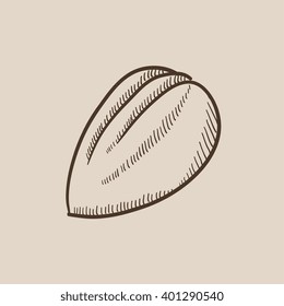 Almond sketch icon.