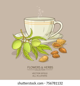 almond tea vector illustration on color background