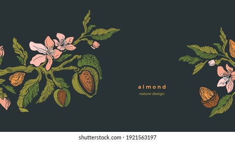 Almond template. Vector branch, nuts, flower in bloom, green leaves. Vintage floral illustration on black background. Organic food, vegan milk. Summer garden