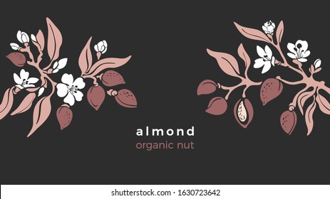 Almond Template. Vector Natural Nut. Natural Tree, Botanical Branch, Fruit, Leaf, Flower In Bloom. Art Design, Vinrage Illustration. Organic Nature Milk, Bio Oil. Farm Plantation